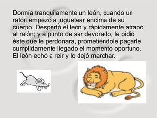 Leon Y Raton | ODP