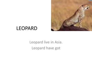 LEOPARD
Leopard live in Asia.
Leopard have got

 