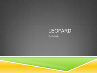 LEOPARD
By Mark
 