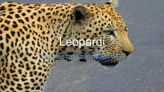 Leopardi
Mikä se tarkkaan ottaen on?
 