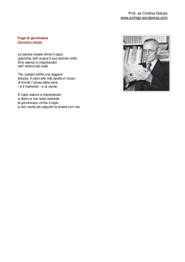 Leopardi E La Giovinezza Approfondimenti Intorno A Il Sabato Del Vi