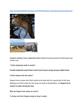 leopard in tree, elephants herd,hippos .docx