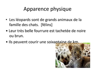 Apparence physique
• Les léopards sont de grands animaux de la
  famille des chats. [félins]
• Leur très belle fourrure est tachetée de noire
  ou brun.
• Ils peuvent courir une soixantaine de km.
 