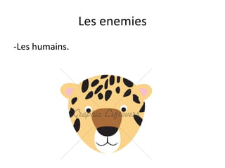 Les enemies
-Les humains.
 
