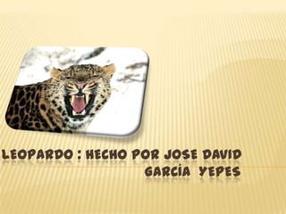 LEOPARDO : HECHO POR JOSE DAVID
                  GARCÍA YEPES
 