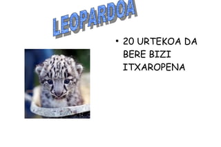 .
●
20 URTEKOA DA
BERE BIZI
ITXAROPENA
 
