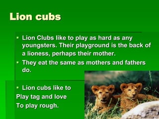 Lion cubs
 Lion Clubs like to play as hard as any
youngsters. Their playground is the back of
a lioness, perhaps their mother.
 They eat the same as mothers and fathers
do.
 Lion cubs like to
Play tag and love
To play rough.
 