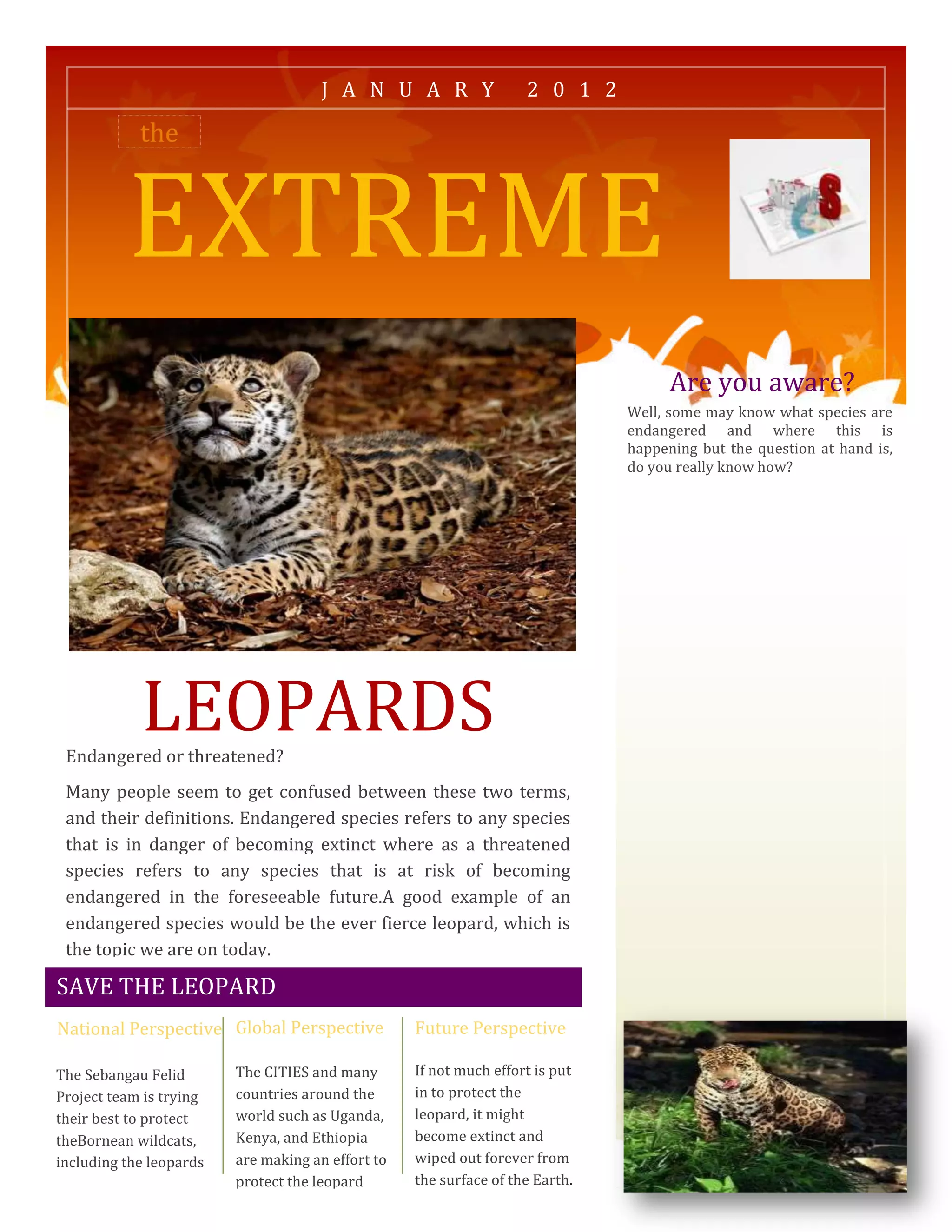 Leopard Extinction Rater Leopard project | DOCX