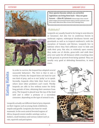 Newspaper article - Leopards. | PDF