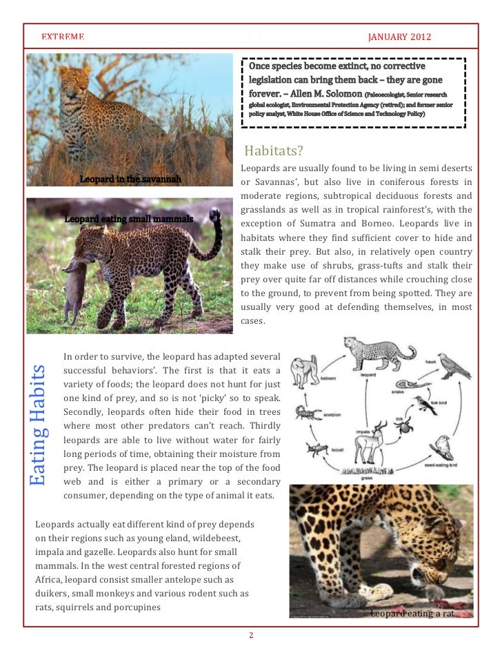 Articles About Animals Habitats Of Animals DriverLayer Search Engine articles-about-animals-habitats-of-animals-driverlayer-search-engine