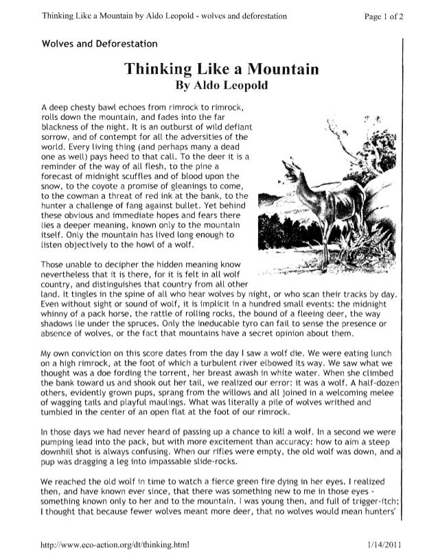 aldo leopold thinking like a mountain essay