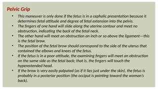 LEOPOLD'S MANEUVER POWER POINT PRESENTATION | PPTX