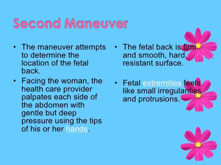 leopold maneuver