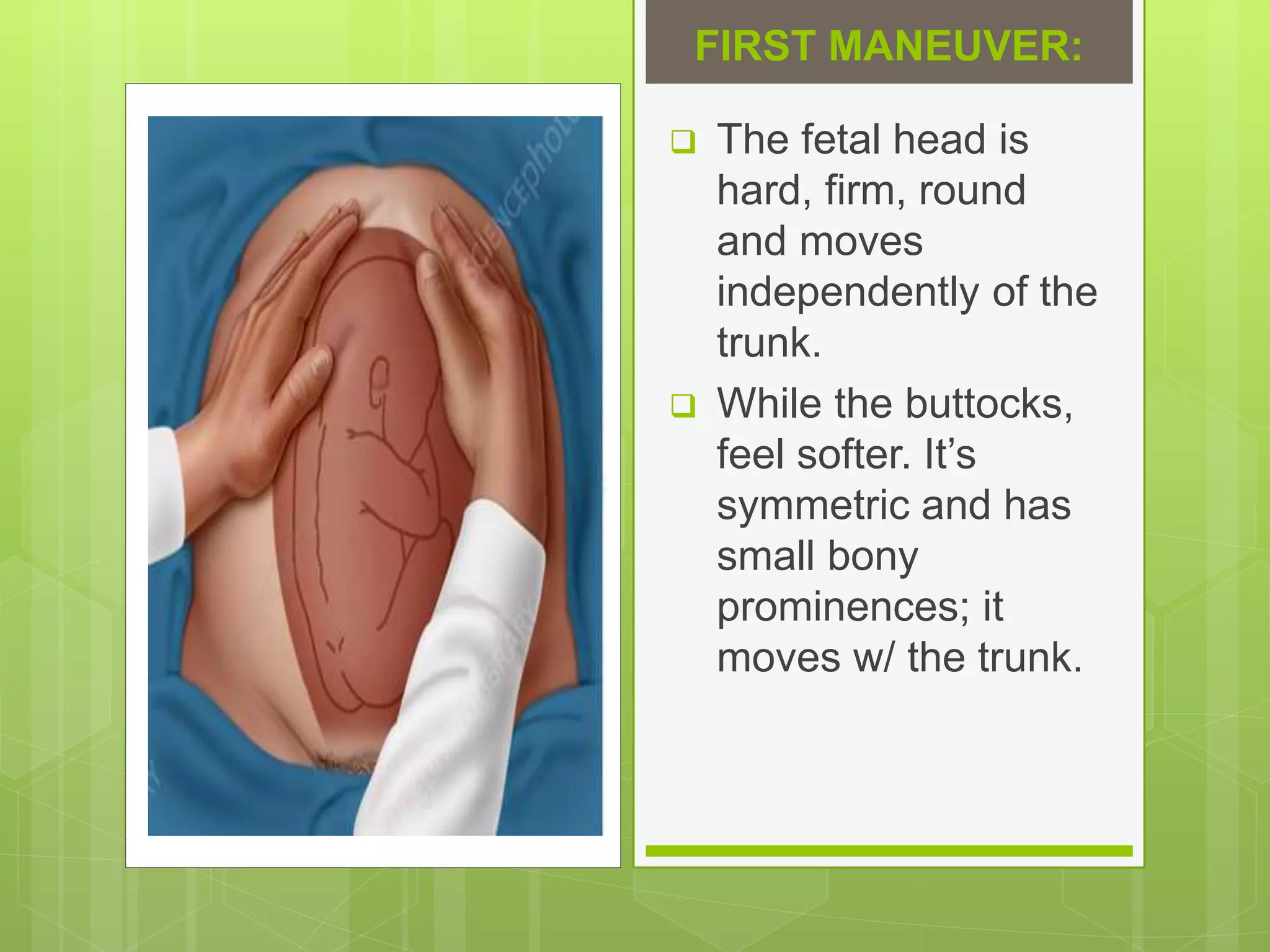 Leopold’s Maneuver | PPTX