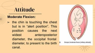 Attitude
Moderate Flexion:
➢ the chin is touching the chest
but is in “alert position”. This
position causes the next
widest anteroposterior
diameter, the occipital frontal
diameter, to present to the birth
canal.
 