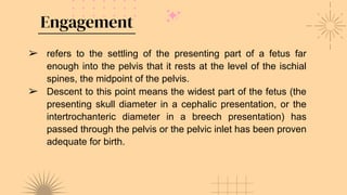 Engagement
➢ refers to the settling of the presenting part of a fetus far
enough into the pelvis that it rests at the level of the ischial
spines, the midpoint of the pelvis.
➢ Descent to this point means the widest part of the fetus (the
presenting skull diameter in a cephalic presentation, or the
intertrochanteric diameter in a breech presentation) has
passed through the pelvis or the pelvic inlet has been proven
adequate for birth.
 