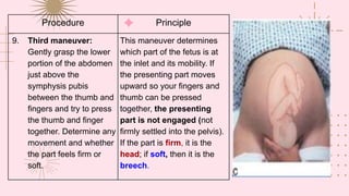 Procedure Principle
9. Third maneuver:
Gently grasp the lower
portion of the abdomen
just above the
symphysis pubis
between the thumb and
fingers and try to press
the thumb and finger
together. Determine any
movement and whether
the part feels firm or
soft.
This maneuver determines
which part of the fetus is at
the inlet and its mobility. If
the presenting part moves
upward so your fingers and
thumb can be pressed
together, the presenting
part is not engaged (not
firmly settled into the pelvis).
If the part is firm, it is the
head; if soft, then it is the
breech.
 