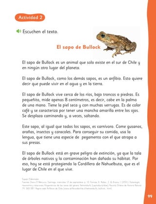 99
Escuchen el texto.
El sapo de Bullock es un animal que solo existe en el sur de Chile y
en ningún otro lugar del planeta.
El sapo de Bullock, como los demás sapos, es un anfibio. Esto quiere
decir que puede vivir en el agua y en la tierra.
El sapo de Bullock vive cerca de los ríos, bajo troncos o piedras. Es
pequeñito, mide apenas 8 centímetros, es decir, cabe en la palma
de una mano. Tiene la piel seca y con muchas verrugas. Es de color
café y se caracteriza por tener una mancha amarilla entre los ojos.
Se desplaza caminando y, a veces, saltando.
Este sapo, al igual que todos los sapos, es carnívoro. Come gusanos,
arañas, insectos y caracoles. Para conseguir su comida, usa la
lengua, que tiene una especie de pegamento con el que atrapa a
sus presas.
El sapo de Bullock está en grave peligro de extinción, ya que la tala
de árboles nativos y la contaminación han dañado su hábitat. Por
eso, hoy se está protegiendo la Cordillera de Nahuelbuta, que es el
lugar de Chile en el que vive.
El sapo de Bullock
Equipo Elaborador.
Fuentes: Diario El Mercurio. Santiago, miércoles 12 de septiembre, p. 10. Formas, R., Núñez, J. & Brieva, I. (2001). Osteología,
taxonomía y relaciones filogenéticas de las ranas del género Telmatobufo (Leptodactylidae). Revista Chilena de Historia Natural
74: 365-387. Página web Anfibios de Chile (www.anfibiosdechile.cl/telmatobufo_bullocki_.html)
Actividad 2
 