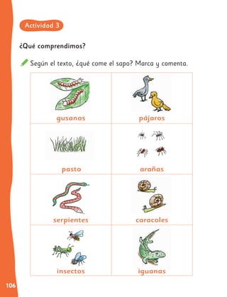 106
¿Qué comprendimos?
Según el texto, ¿qué come el sapo? Marca y comenta.
caracoles
iguanas
serpientes
insectos
pasto
gusanos
arañas
pájaros
Actividad 3
 