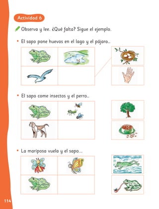 114
• La mariposa vuela y el sapo...
Observa y lee. ¿Qué falta? Sigue el ejemplo.
• El sapo pone huevos en el lago y el pájaro…
• El sapo come insectos y el perro…
Actividad 6
 