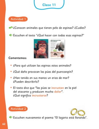 62
¿Conocen animales que tienen pelo de espinas? ¿Cuáles?
Escuchen el texto “¿Qué hacer con todas esas espinas?”
Comentemos:
•	¿Para qué utilizan las espinas estos animales?
•	¿Qué daño provocan las púas del puercoespín?
•	¿Han tenido en sus manos un erizo de mar?
¿Pueden describirlo?
•	El texto dice que "las púas se incrustan en la piel
del atacante y producen mucho dolor".
¿Qué significa incrustarse?
Escuchen nuevamente el poema “El lagarto está llorando”.
Clase 11
Actividad 1
Actividad 2
 
