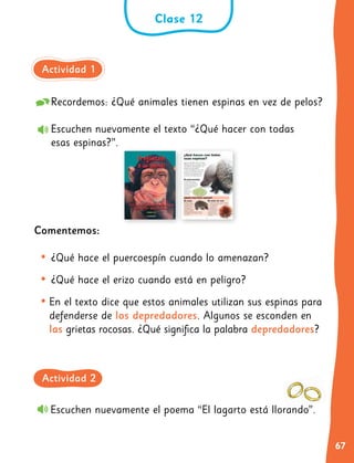 67
Recordemos: ¿Qué animales tienen espinas en vez de pelos?
Escuchen nuevamente el texto “¿Qué hacer con todas
esas espinas?”.
Comentemos:
•	¿Qué hace el puercoespín cuando lo amenazan?
•	¿Qué hace el erizo cuando está en peligro?
•	En el texto dice que estos animales utilizan sus espinas para
defenderse de los depredadores. Algunos se esconden en
las grietas rocosas. ¿Qué significa la palabra depredadores?
Escuchen nuevamente el poema “El lagarto está llorando”.
Clase 12
Actividad 1
Actividad 2
 