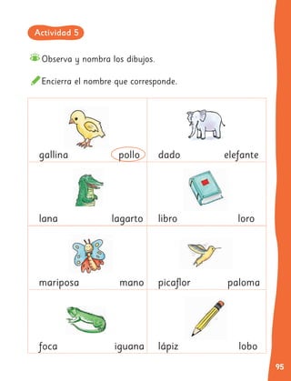 95
Observa y nombra los dibujos.
Encierra el nombre que corresponde.
gallina pollo dado elefante
lana lagarto libro loro
mariposa mano picaflor paloma
foca iguana lápiz lobo
Actividad 5
 