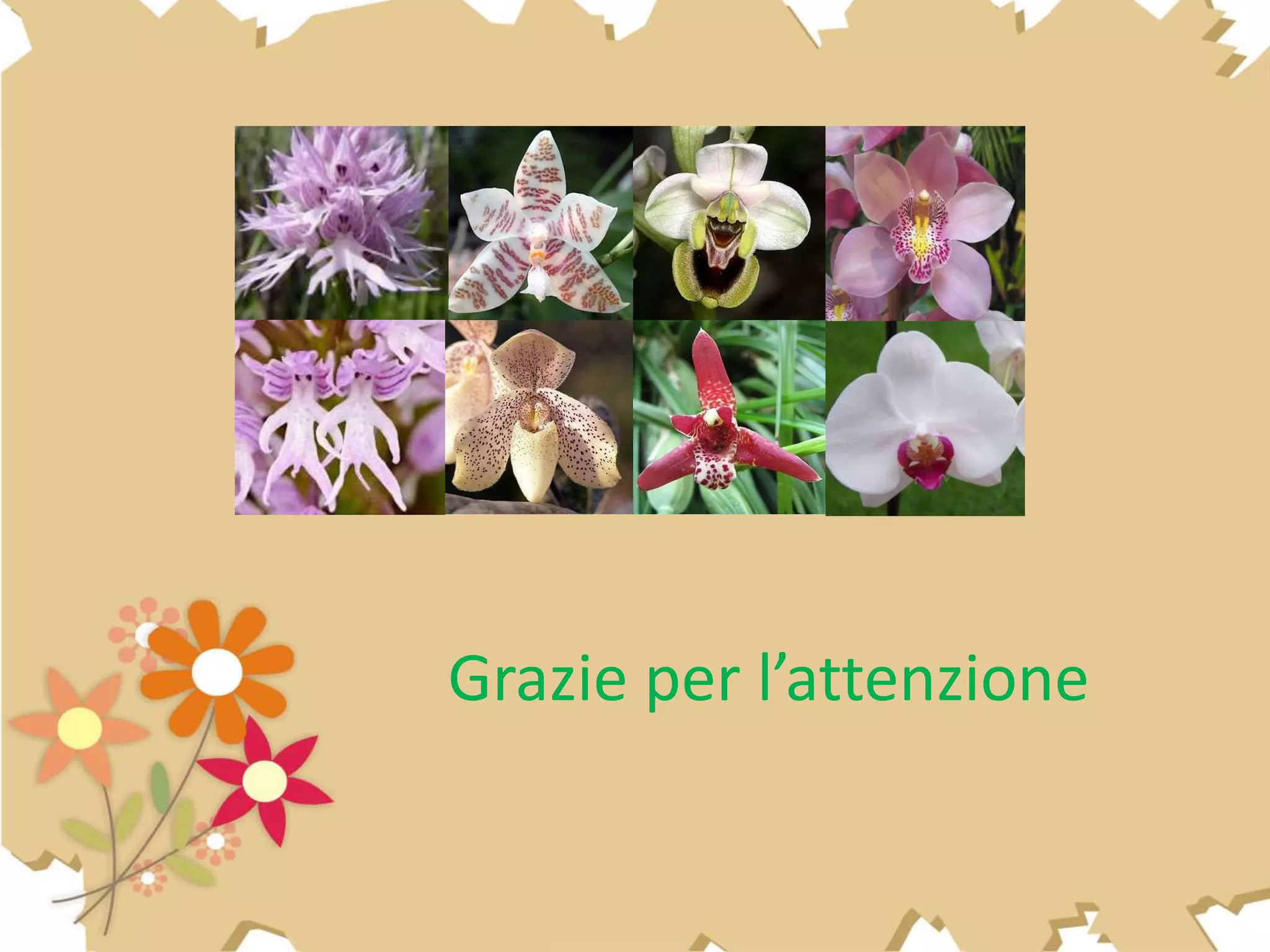 Grazie per l’attenzione
 