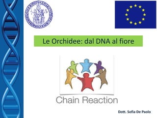 Dott. Sofia De Paolo
Le Orchidee: dal DNA al fiore
 