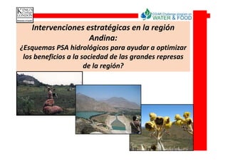 Intervenciones estratégicas en la región
                   Andina:
¿Esquemas PSA hidrológicos para ayudar a optimizar
 los beneficios a la sociedad de las grandes represas
                      de la región?




                                           Source: DAMA 2007
 