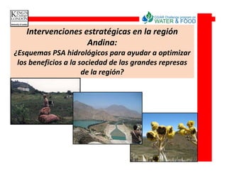 Intervenciones estratégicas en la región
                   Andina:
¿Esquemas PSA hidrológicos para ayudar a optimizar
 los beneficios a la sociedad de las grandes represas
                      de la región?




                                           Source: DAMA 2007
 