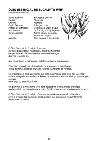 ÓLEO ESSENCIAL DE EUCALIPTO WNF
(Sistema Respiratório)
Nome Botânico: 		 Eucalyptus globulus
Família:			 Mirtáceas
Origem:			 Austrália
Órgão Extraído:		 Folhagem nova
Método de Extração:	 Destilação a vapor d'água
Rendimento:		 de 8 a 20g por Kg da planta
Características:		 Aroma fresco, mentolado
			 Aroma de Limpeza
Aspecto:			 Óleo transparente e incolor
	
O Óleo Essencial de Eucalipto é famoso
por suas propriedades mucolíticas, descongestionantes
e expectorantes. Excelente no tratamento de doenças
das vias respiratórias.
Age como tônico e estimulante, fortalece o sistema imunológico.
É também um poderoso desinfetante de ambientes, principalmente
contra bactérias aeróbias e fungos. Purifica o ambiente de verdade.
Em massagens e banhos expande sua ação oxigenadora para além das vias respi-
ratórias atingindo a musculatura. Relaxa os músculos e alivia tensões provocadas pelo
excesso
de esforço ou exercícios físicos.
Em pastilhas é o mecanismo ideal para desobstruir o nariz. Bebês e crianças
recebem alívio imediato durante a noite, fortalecendo-se com uma boa noite de sono.
O Óleo Essencial de Eucalipto oferece as sensações de expansão e liberdade,
alivia a pressão dos momentos enclausurados que acontecem freqüentemente
nas cidades modernas.
11
 