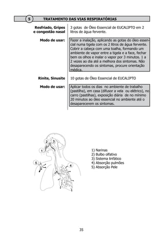 Resfriado, Gripes
e congestão nasal
Modo de usar:
Rinite, Sinusite
Modo de usar:
	 5	 TRATAMENTO DAS VIAS RESPIRATÓRIAS
3 gotas de Óleo Essencial de EUCALIPTO em 2
litros de água fervente.
				
Fazer a inalação, aplicando as gotas do óleo essen-
cial numa tigela com os 2 litros de água fervente.
Cobrir a cabeça com uma toalha, formando um
ambiente de vapor entre a tigela e a face, fechar
bem os olhos e inalar o vapor por 3 minutos. 1 a
2 vezes ao dia até a melhora dos sintomas. Não
desaparecendo os sintomas, procure orientação
médica.
10 gotas de Óleo Essencial de EUCALIPTO
Aplicar todos os dias no ambiente de trabalho
(pastilha), em casa (difusor a vela ou elétrico), no
carro (pastilhas), exposição diária de no mínimo
20 minutos ao óleo essencial no ambiente até o
desaparecerem os sintomas.
1
5
4
2 3
1) Narinas
2) Bulbo olfativo
3) Sistema linfático
4) Absorção pulmões
5) Absorção Pele
35
 