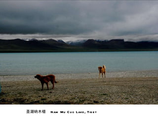 圣湖纳木错  Nam Mu Cuo Lake, Tibet 