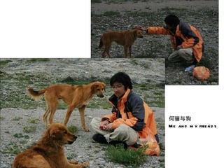 何骊与狗  Me and my friends 