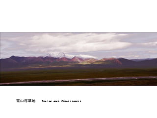 雪山与草地  Snow and Grasslands 