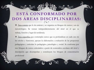 ESTÁ CONFORMADO POR
DOS ÁREAS DISCIPLINARIAS:
 Área común que le da carácter y se organiza en bloques de cursos y un eje
metodológico. Se toman independientemente del nivel en el que se
trabaja, función y lugar de residencia.
 Área especifica que contempla cursos que se profundizan en cada uno de
los niveles y funciones, apoyan la elaboración y evaluación de las propuestas

pedagógicas y articulan lo pedagógico, psicológico y social. Se conforma por
tres bloques de cursos articulados a partir de contenidos escolares del nivel y
descripción que desempeñan y constituyen los bloques de concentración
profesional

 