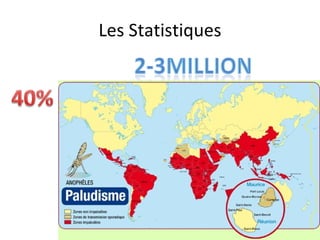 Les Statistiques