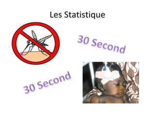 Les Statistique