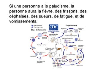 Si une personne a le paludisme, la personne aura la fièvre, des frissons, des céphalées, des sueurs, de fatigue, et de vomissements. 