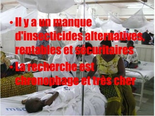 • Il y a un manque
  d'insecticides alternatives,
  rentables et sécuritaires
• La recherche est
  chronophage et très cher
 