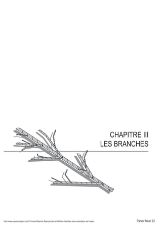 http://www.passionorigami.com/ © Lionel Albertino Reproduction et diffusion interdites sans autorisation de l’auteur Panier fleuri 33
CHAPITRE III
LES BRANCHES
plusieurs pliages, par un système de languettes et
echnique, il est possible de monter des structures très complexe
és : géométrie; architecture; animalier... Le procédé présenté ici, est le
u de patience et de réflexion peuvent donner des résultats très spectaculaires.
1
Suivre tout d'abord les étapes
1, 2, 3, du pliage de la branche.
Pincer l'extrémité non verrouillée
( Le petit triangle A indique
la position et l'apparence de
l'extrémité non verrouillée).
A
2
Répéter la même opération
sur plusieurs branches de
plusieurs tailles.
3
Faire une branche plus longue
et plus large que toutes les autres
avec une clé de blocage.
Insérer les petites branches
préparées en 2 , comme indiqué
sur le dessin. Rotation du modèle.4
"Casser" quelques branches, et vérifier
la solidité de l'ensemble.
5
Assemblage des
branches terminé.
 