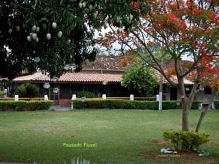 Le pantanal brsilien1.t