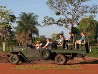 Le pantanal brsilien1.t