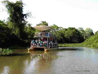 Le pantanal brsilien1.t