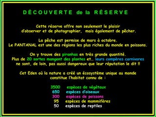 Le pantanal brsilien1.t