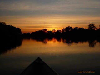 Le pantanal brsilien1.t