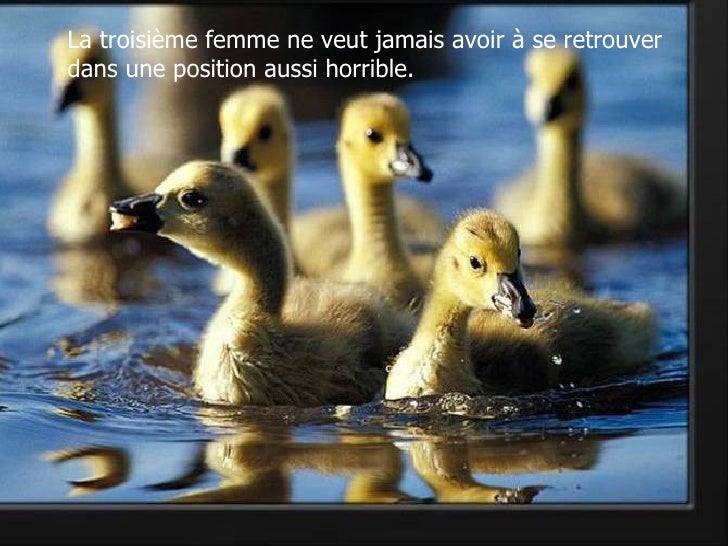Téléchargement gratuit Images Le Paradis Et Les Canards actualisé par