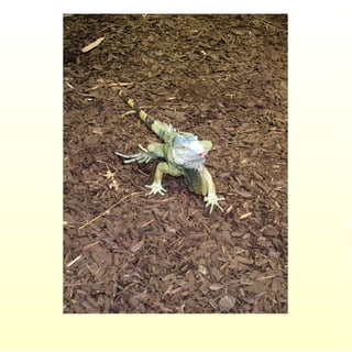 Le parc merveilleux de bettembourg