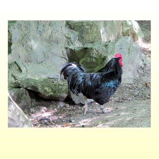 Le parc merveilleux de bettembourg